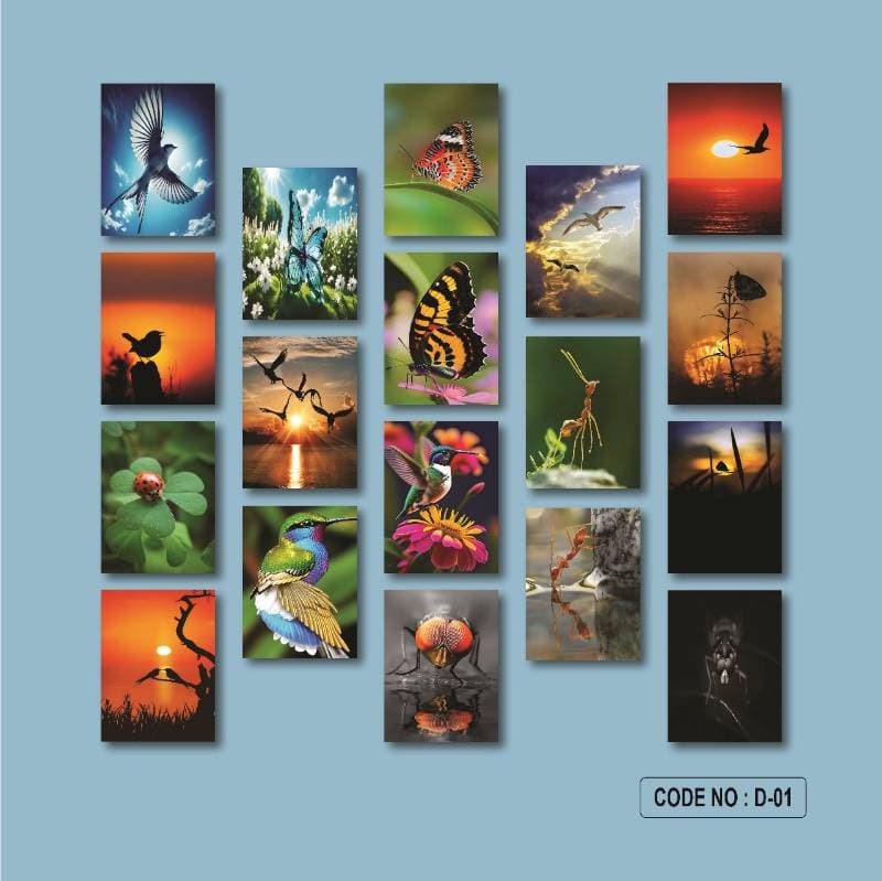 18 part wall canvas D1